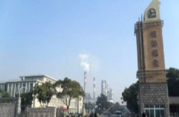 中国石化镇海炼化分公司100万吨/乙烯工程项目